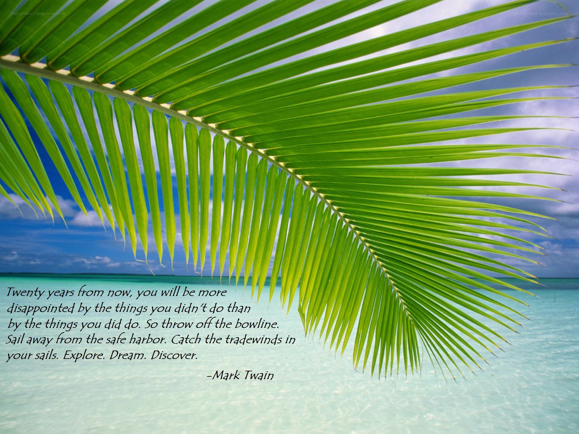 Palm leaf beach quote