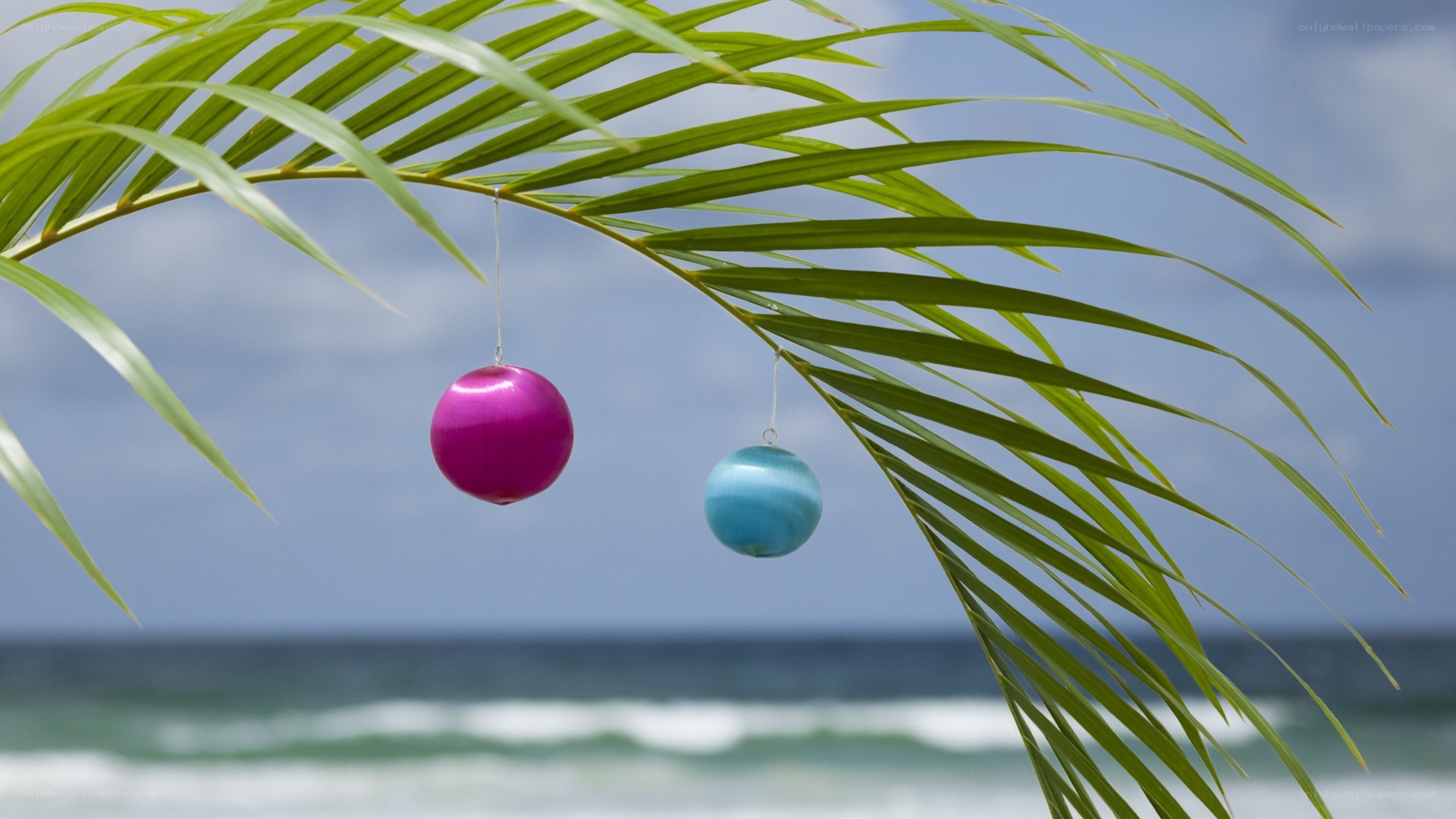 Palm leaf with ornaments at beach
