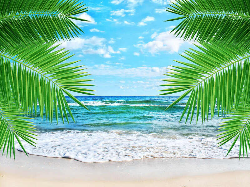 Palm Leaves at Beach