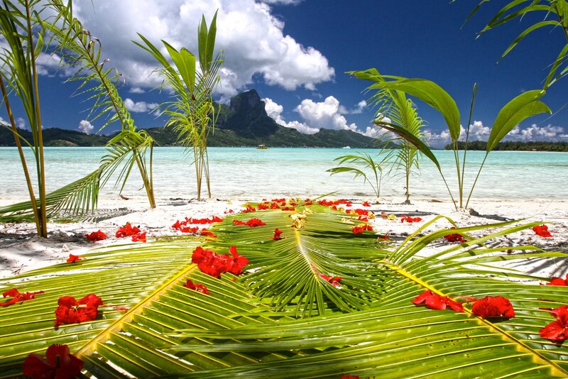 Palm Leaves with Flowers