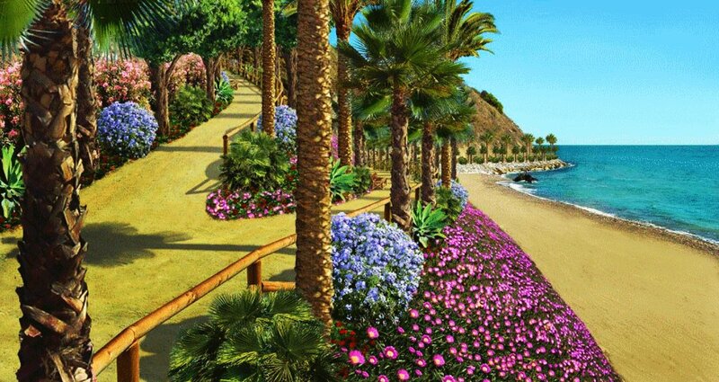 Palm-lined Beach Path — Blue, Serene, Afternoon