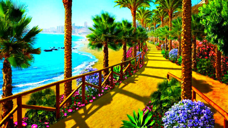 Palm-lined Beach Path — Blue, Serene