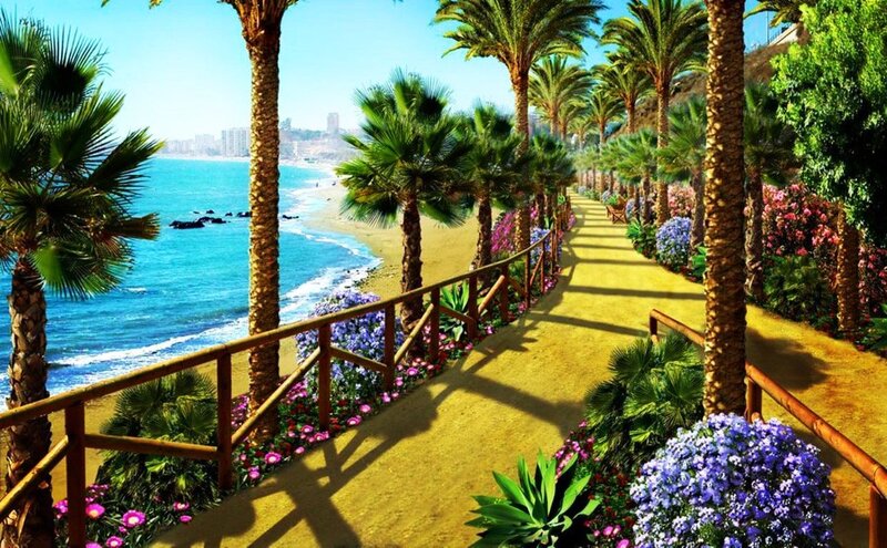 Palm-lined Beach Path — Blue