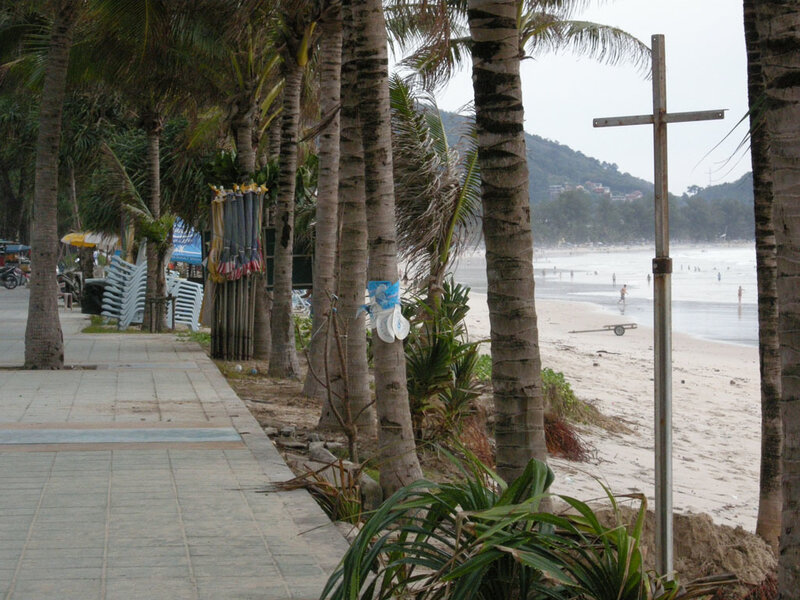 Palm-lined beach path