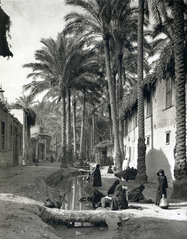Palm-lined canal in old town