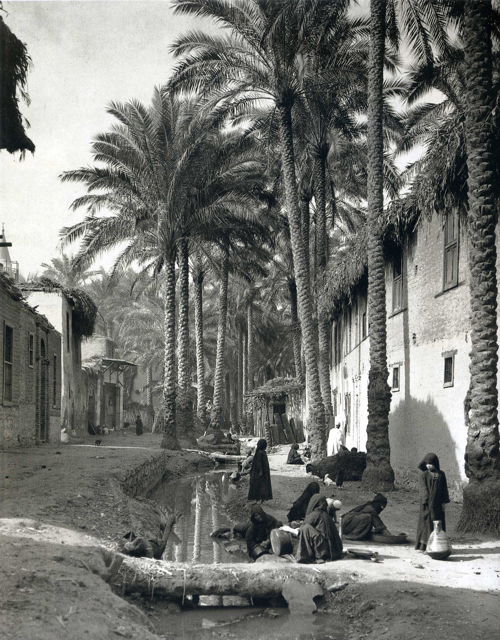 Palm-lined canal in old town