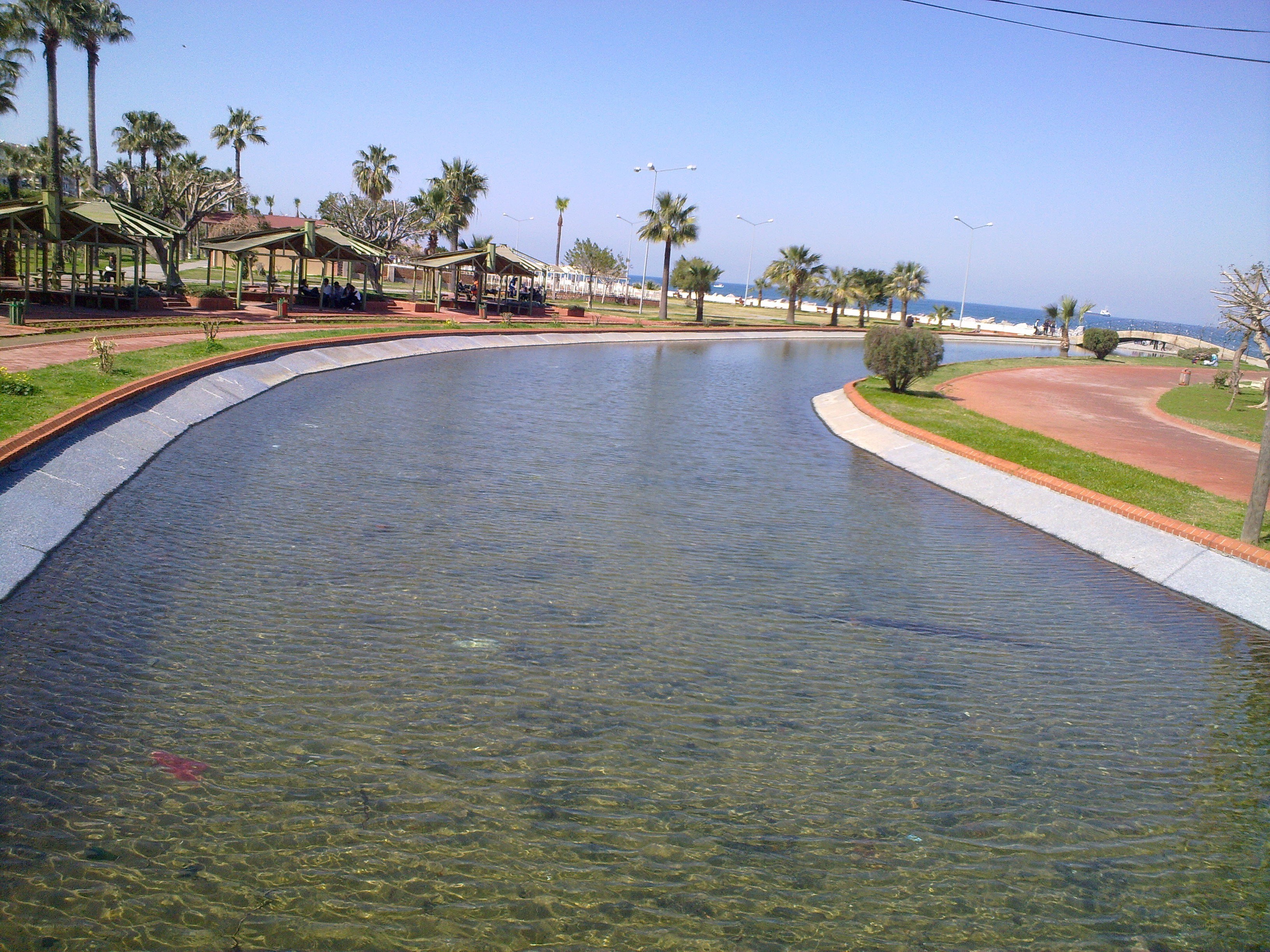 Palm-lined park with water feature