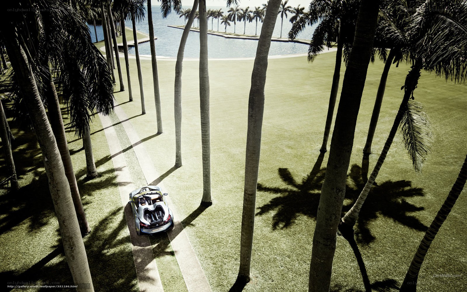 Palm-lined path with sports car