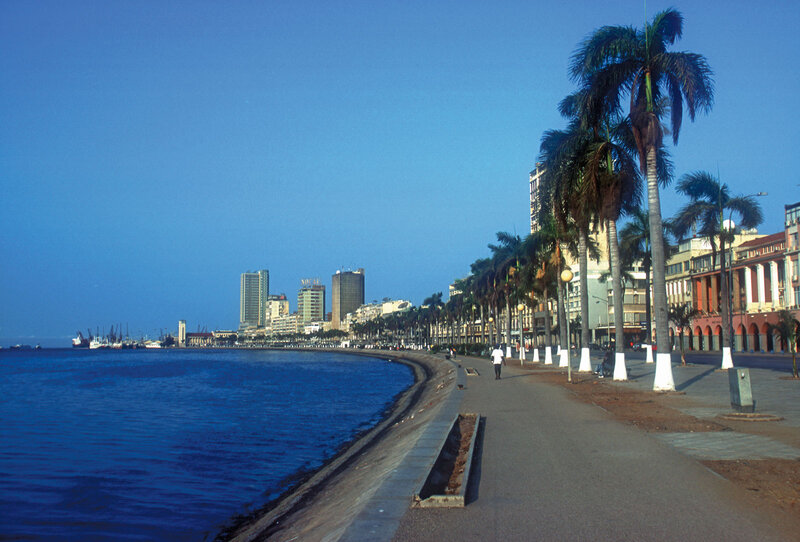 Palm-lined Promenade