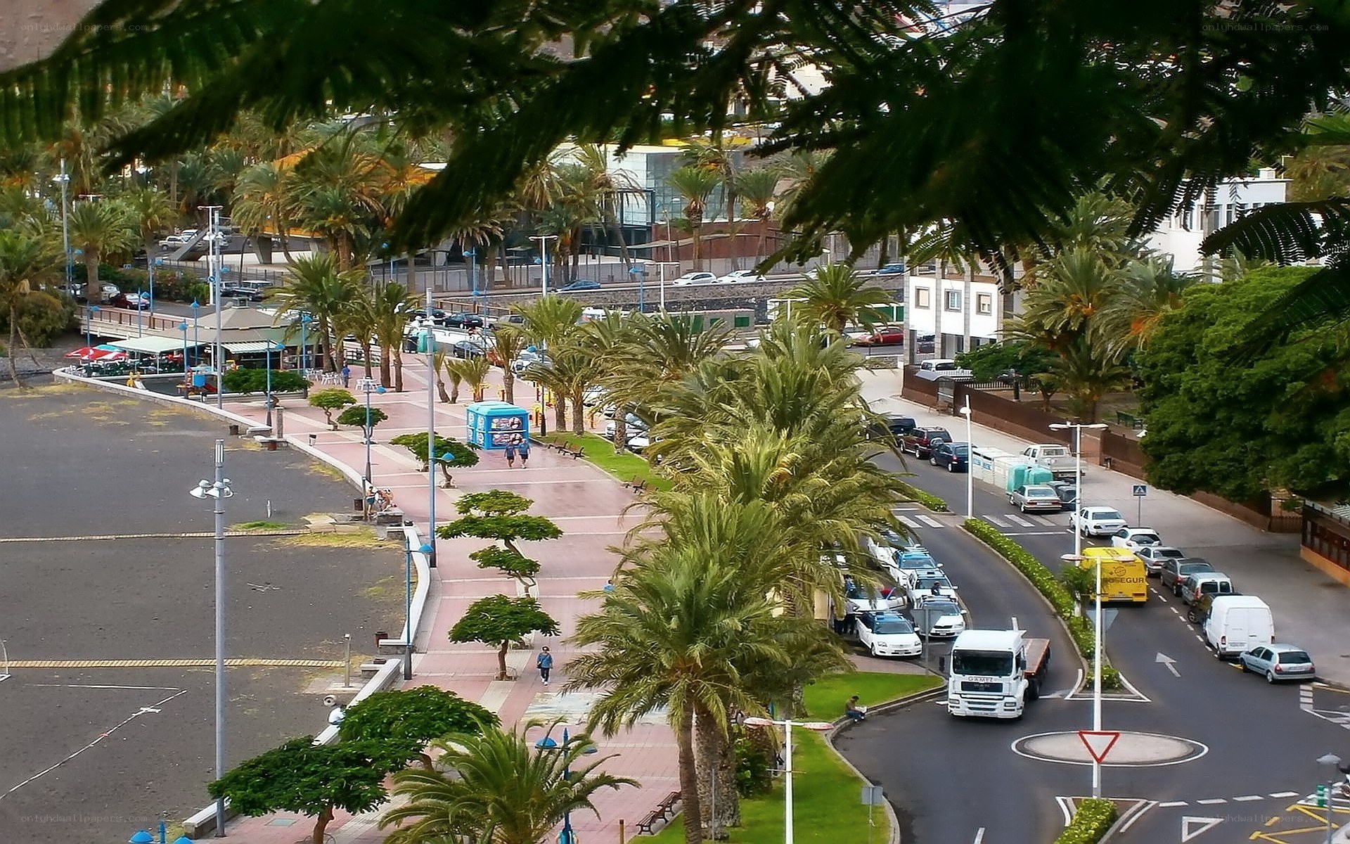 Palm-lined promenade with traffic