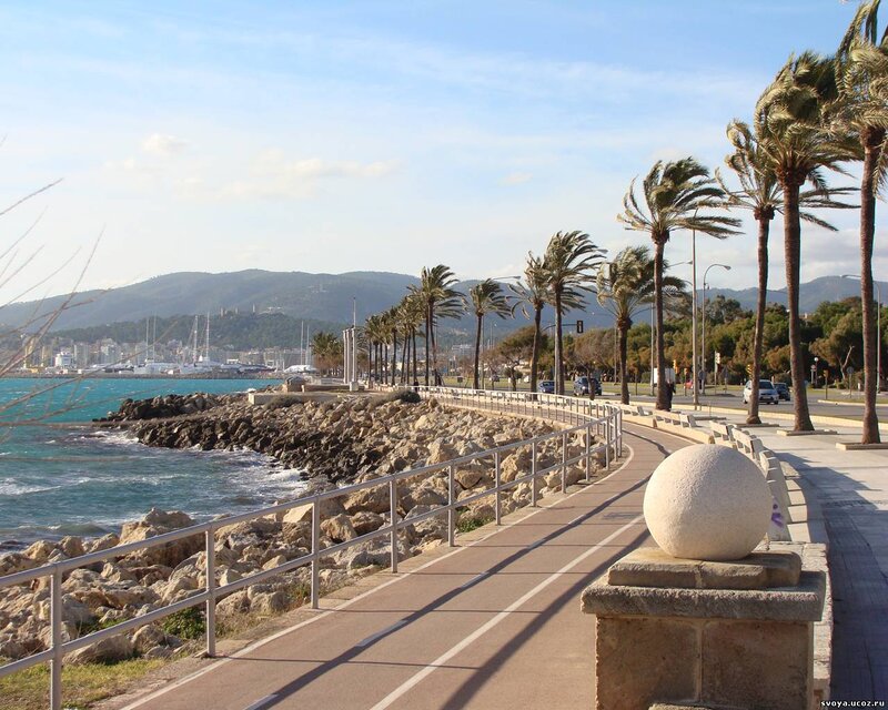 Palm-lined Seafront Path