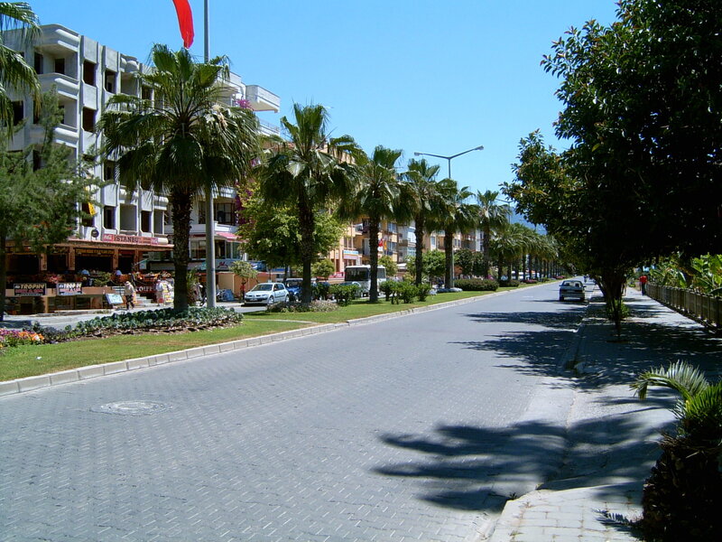 Palm-lined street in a coastal town