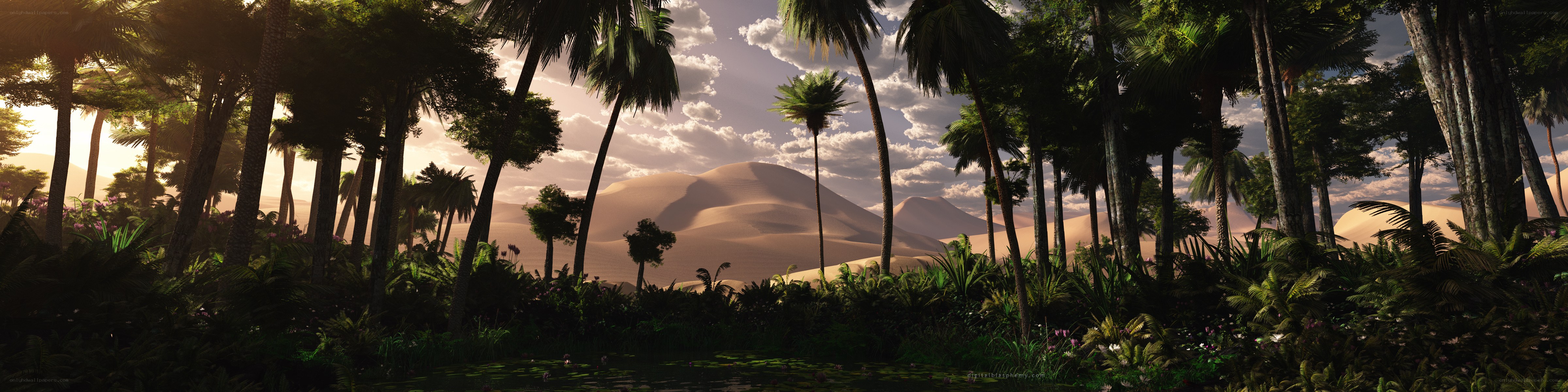 Palm oasis in desert landscape