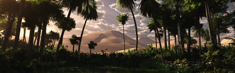 Palm oasis in desert