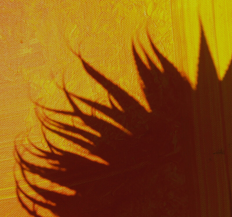 palm shadow on yellow wall