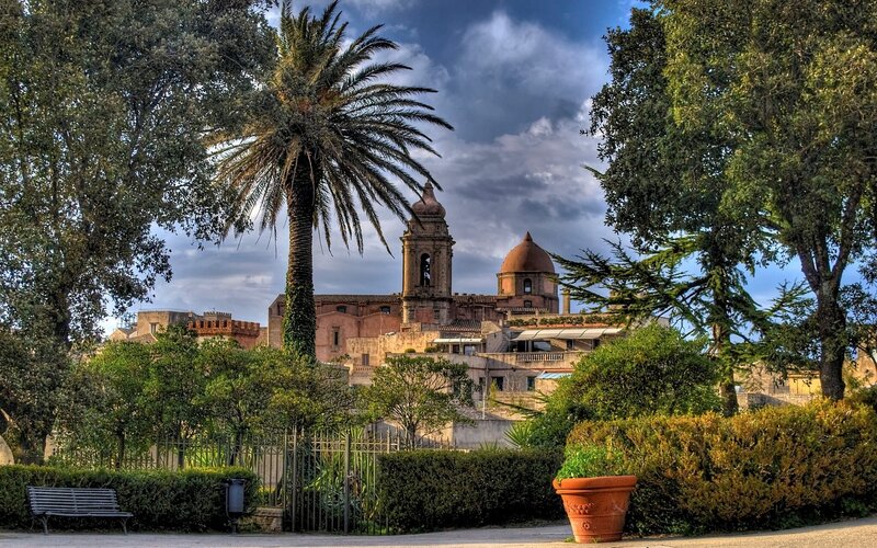 Palm Tree and Church