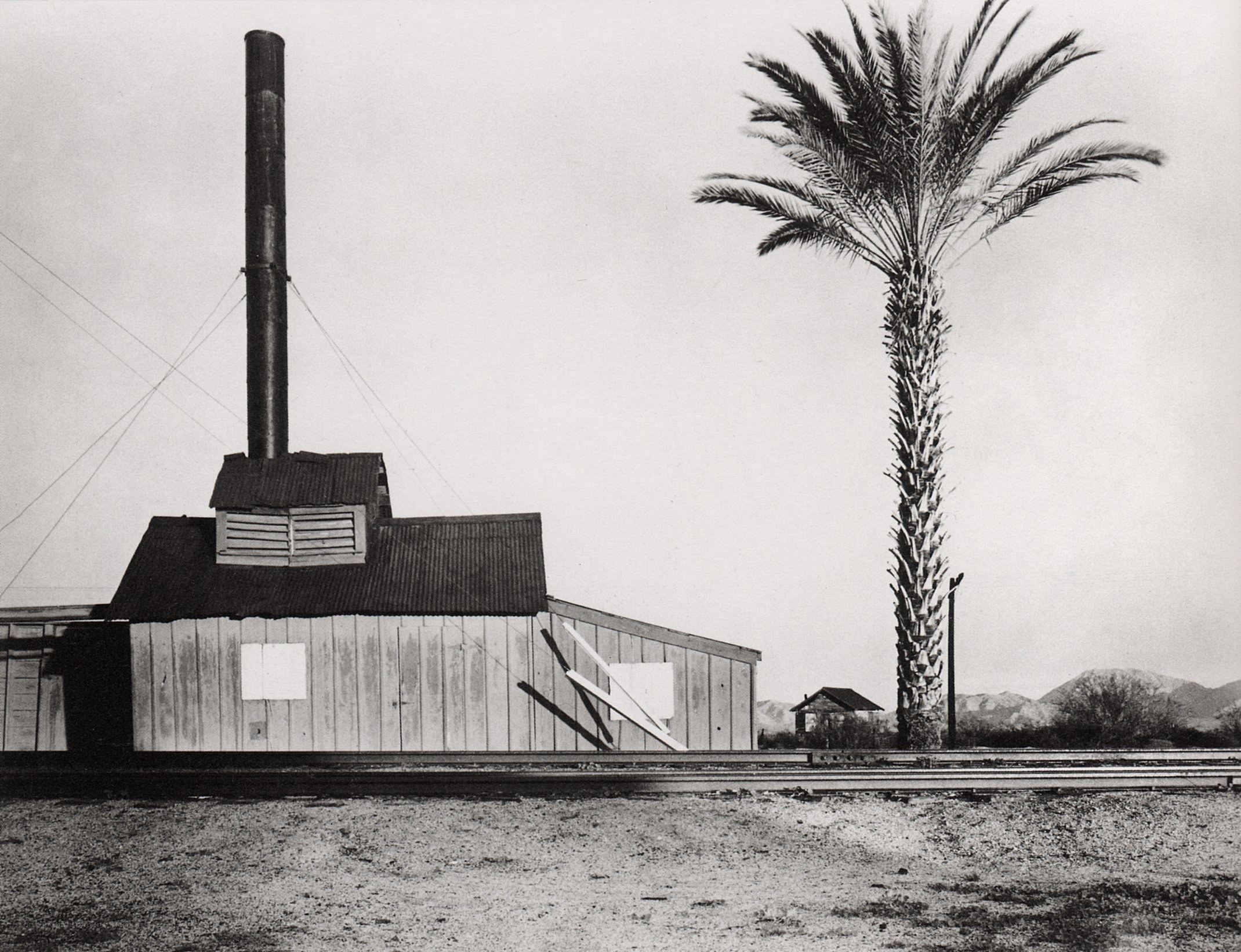 Palm tree and industrial building