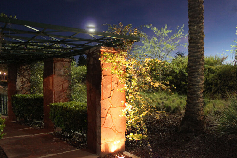 Palm Tree and Pergola