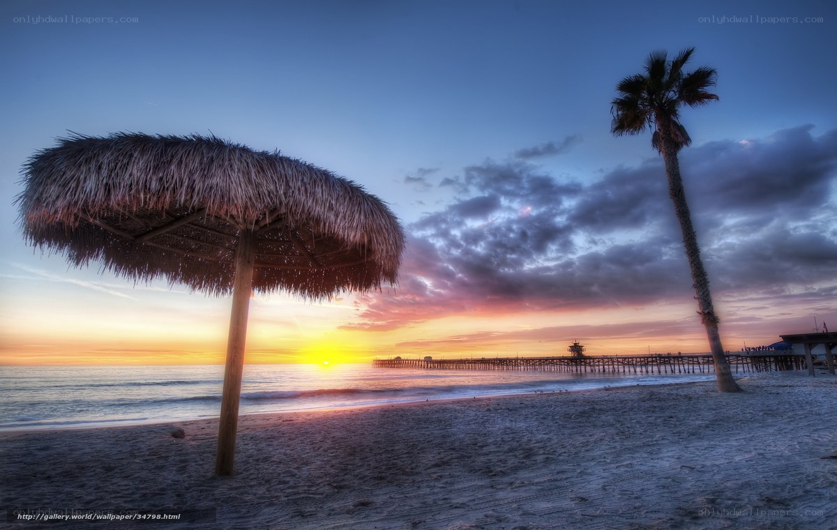 Palm tree and pier at sunset