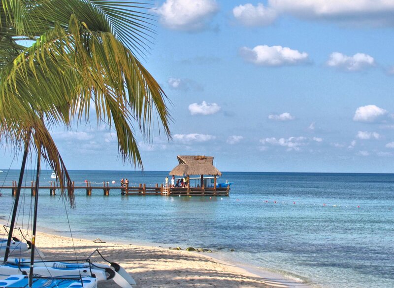 Palm Tree and Pier