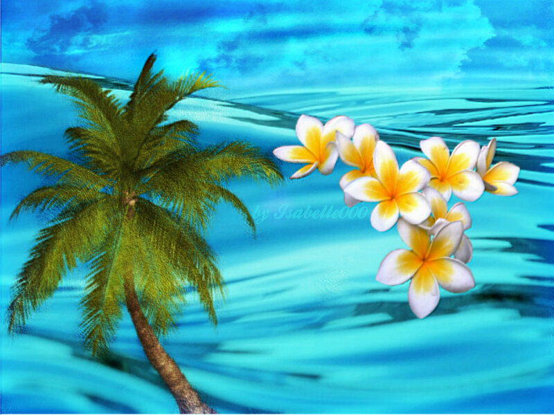 Palm Tree and Plumeria