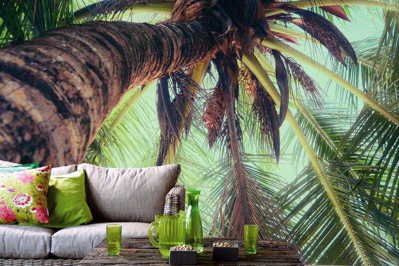 Palm Tree and Sofa