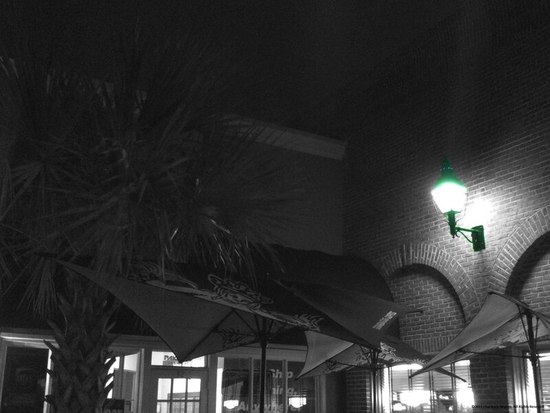 Palm Tree and Umbrellas