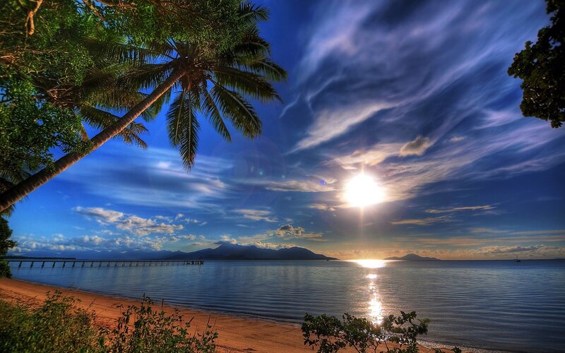 Palm Tree at Beach — Blue, Serene, Sunset, Photograph, Sun