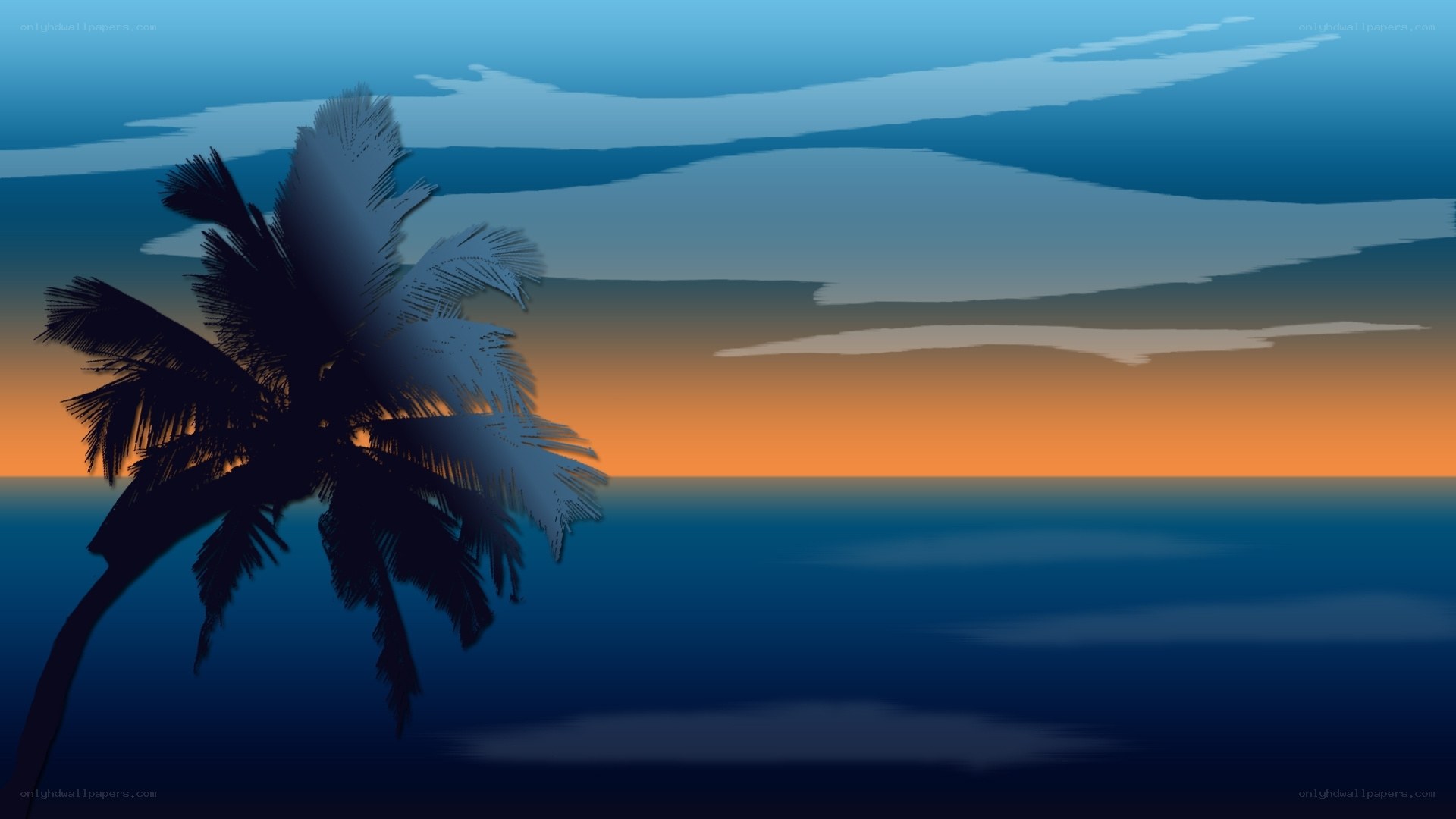 palm tree at sunset