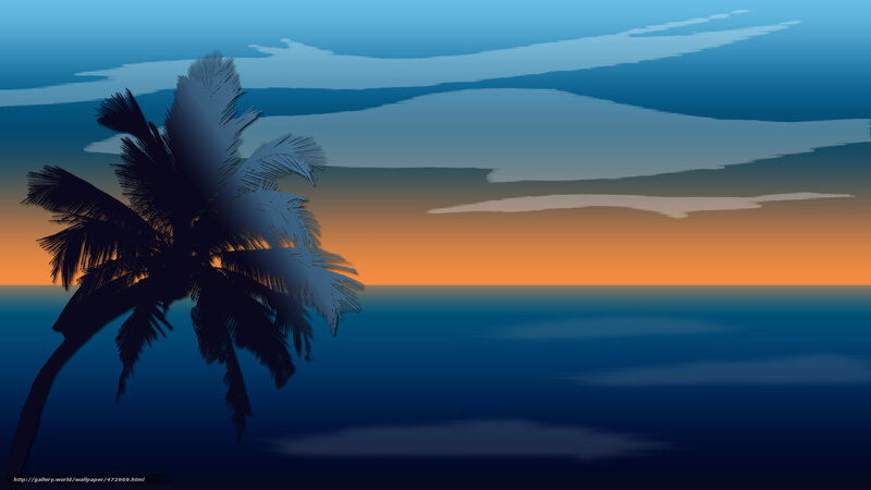 palm tree at sunset