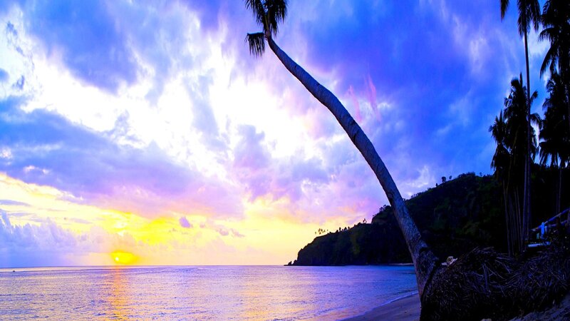 Palm Tree at Sunset — Blue, Dramatic, Photograph, Ocean, Clouds