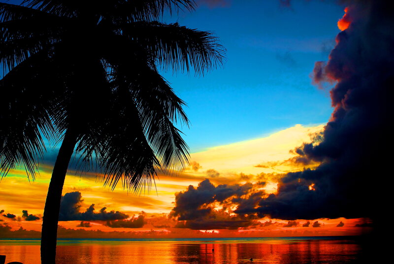 Palm Tree at Sunset — Blue, Dramatic, Photograph