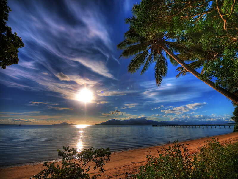 Palm Tree at Sunset — Blue, Serene, Photograph, Ocean, Mountains