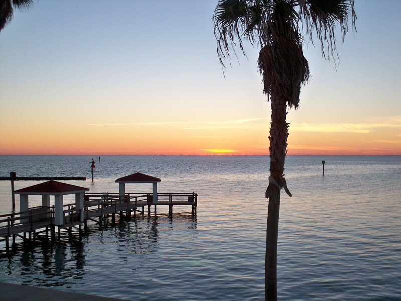Palm Tree at Sunset — Blue, Serene, Photograph, Pier