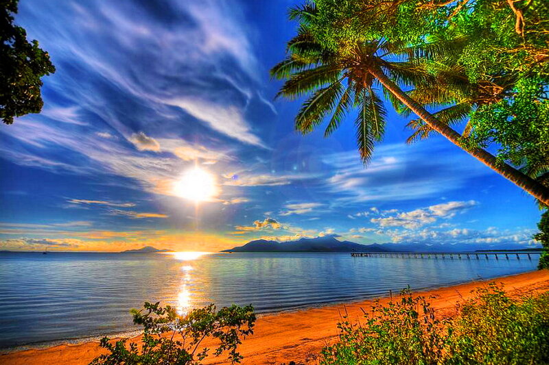 Palm Tree at Sunset — Blue, Serene, Photograph, Sun, Beach