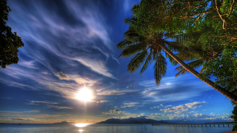 Palm Tree at Sunset — Blue, Serene, Photograph, Sun, Ocean