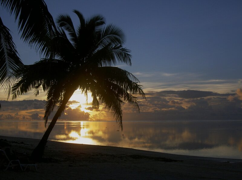 Palm Tree at Sunset — Blue, Serene, Photograph, Sun