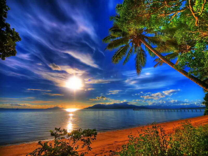 Palm Tree at Sunset — Blue, Serene, Photograph