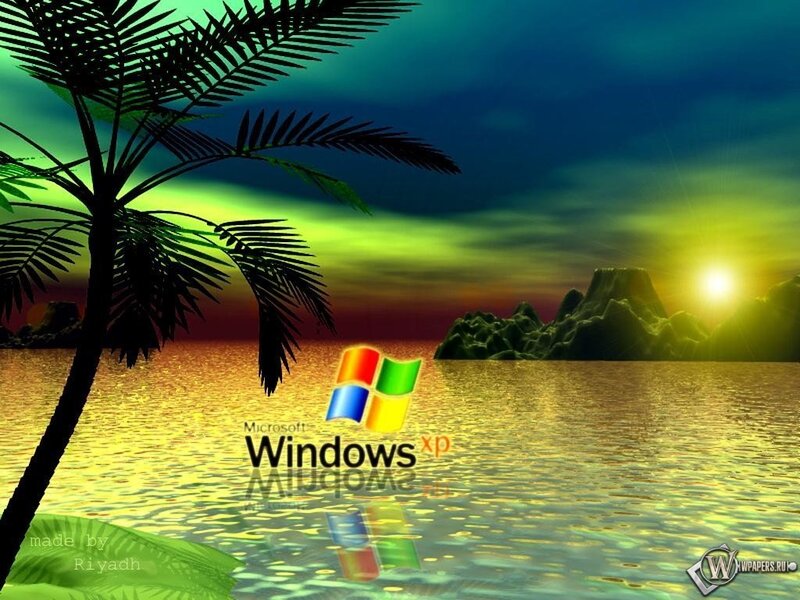 Palm Tree at Sunset — Green