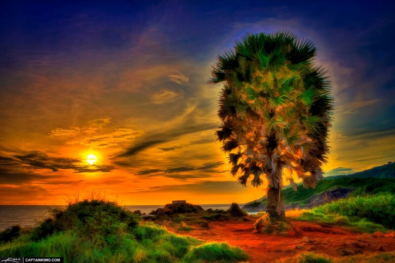 Palm Tree at Sunset — Orange, Dramatic, Digital Art
