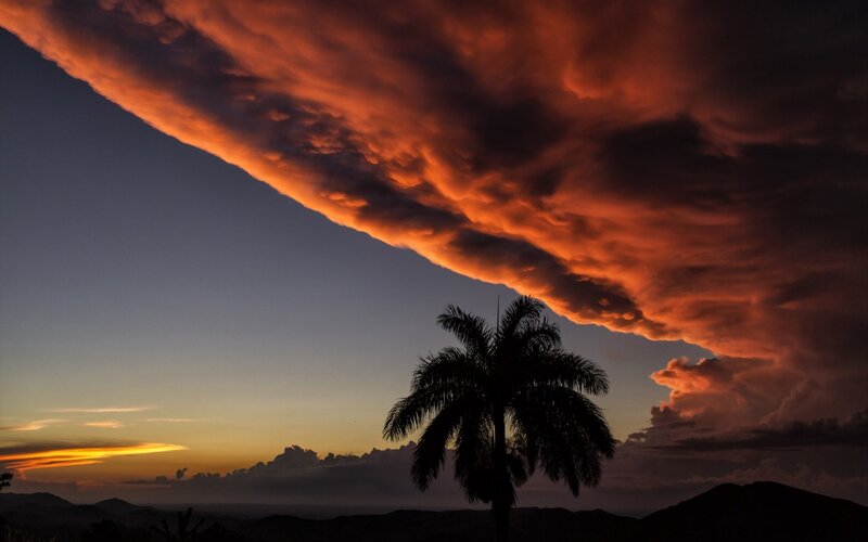 Palm Tree at Sunset — Orange, Dramatic, Photograph, Clouds, Mountains