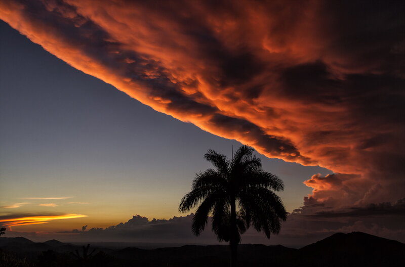 Palm Tree at Sunset — Orange, Dramatic, Photograph, Clouds