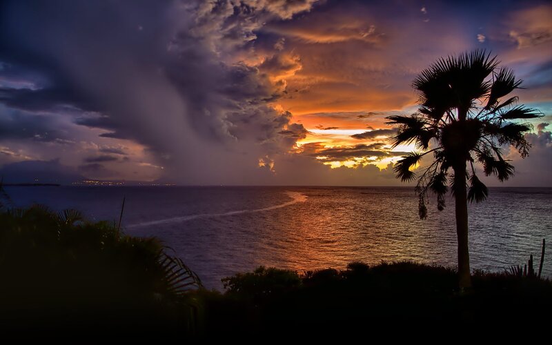 Palm Tree at Sunset — Orange, Dramatic, Photograph, Ocean, Clouds