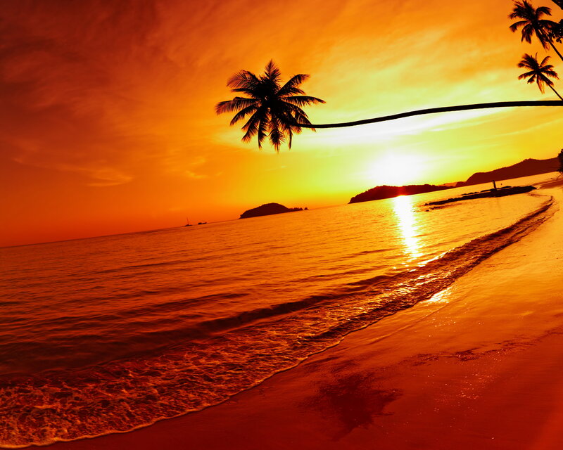 Palm Tree at Sunset — Orange, Dramatic, Photograph, Ocean, Island