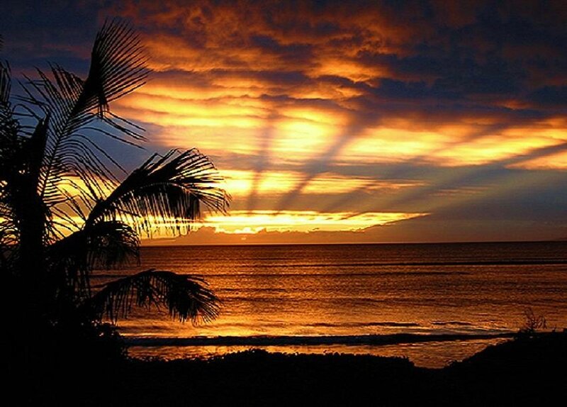 Palm Tree at Sunset — Orange, Dramatic, Photograph, Ocean, Sky, Clouds, Yellow