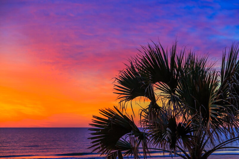 Palm Tree at Sunset — Orange, Dramatic, Photograph, Ocean, Sky