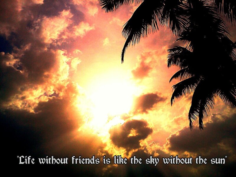 Palm Tree at Sunset — Orange, Dramatic, Photograph, Sun, Clouds