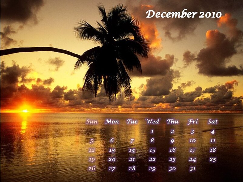 Palm Tree at Sunset — Orange, Dramatic