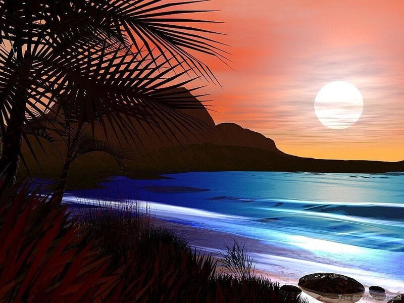 Palm Tree at Sunset — Orange, Serene, Digital Art