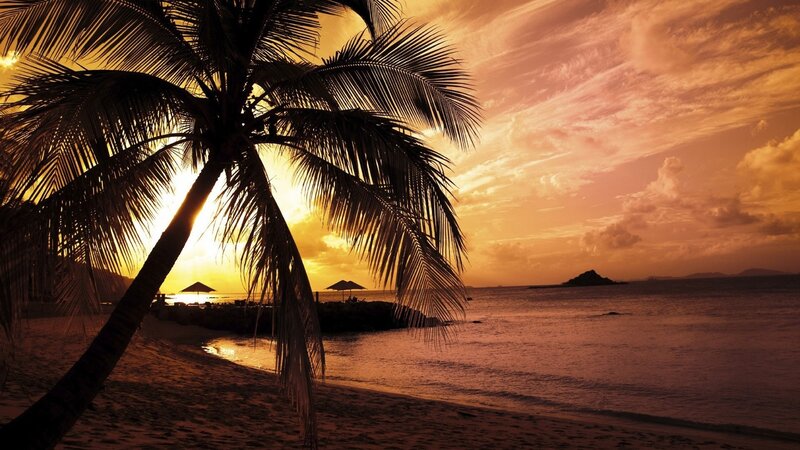 Palm Tree at Sunset — Orange, Serene, Photograph, Beach, Ocean, Umbrellas, Yellow, Brown